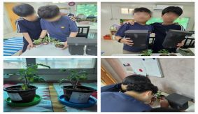 5학년 과학: 비생물 환경 요인에 따른 식물의 성장 실험