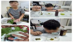 이번주 5.6학년 과학 